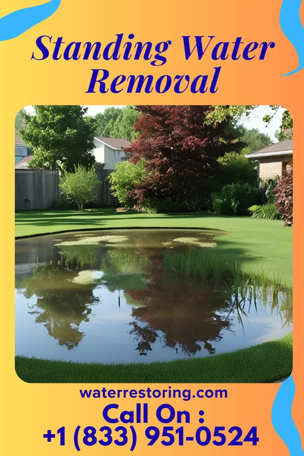 Standing Water Removal in Milton, FL